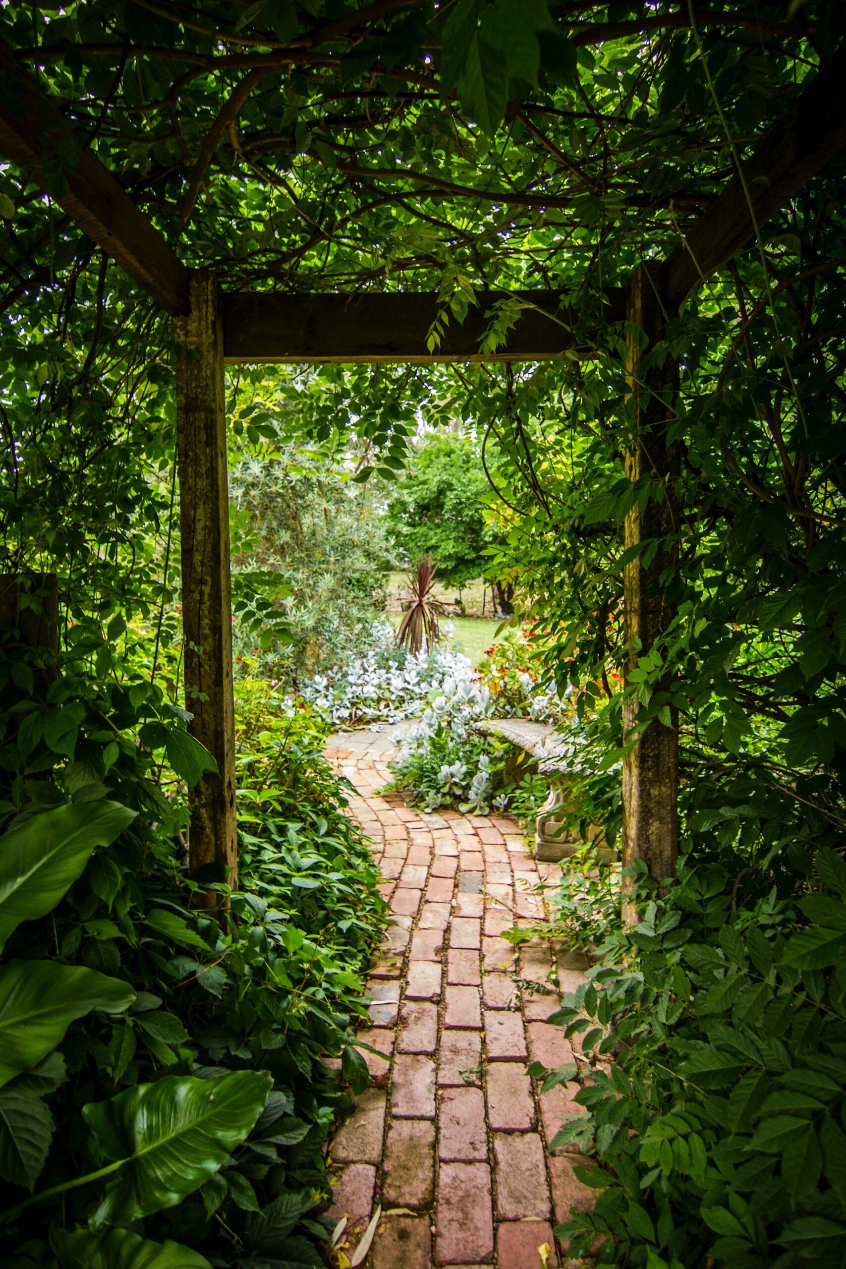 ścieżka w ogrodzie stara cegła